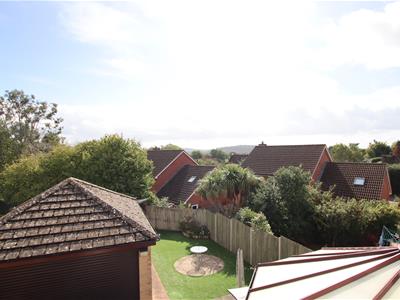 Picture 16